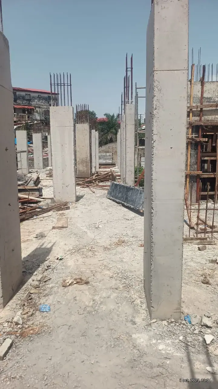 Concrete columns and reinforcement